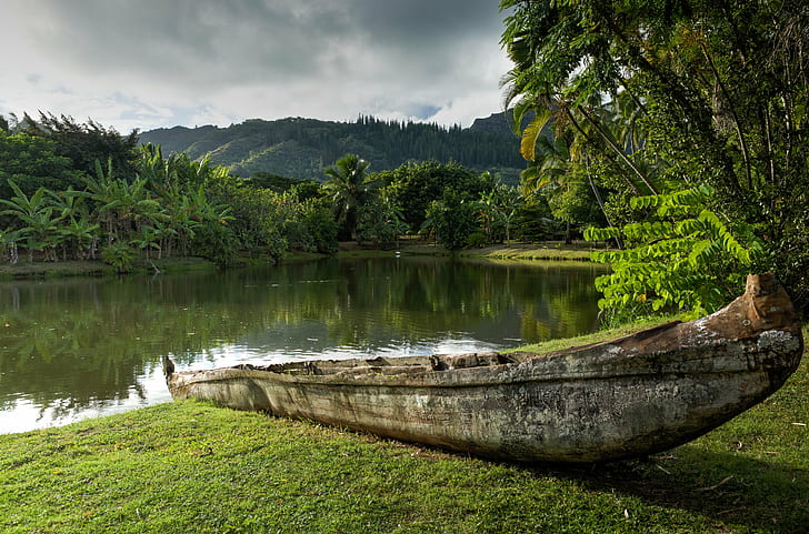 brown log on green grass field in front of river, wailau, highlands, wailau, highlands, Wailau, Highlands, brown, log on, green grass, field, front, river, Ricoh  GR, Hawaii, Canoe, Boat, Pacific, Lake, nature, outdoors, nautical Vessel, landscape, water, mountain, scenics, forest, reflection, summer, tree, HD wallpaper
