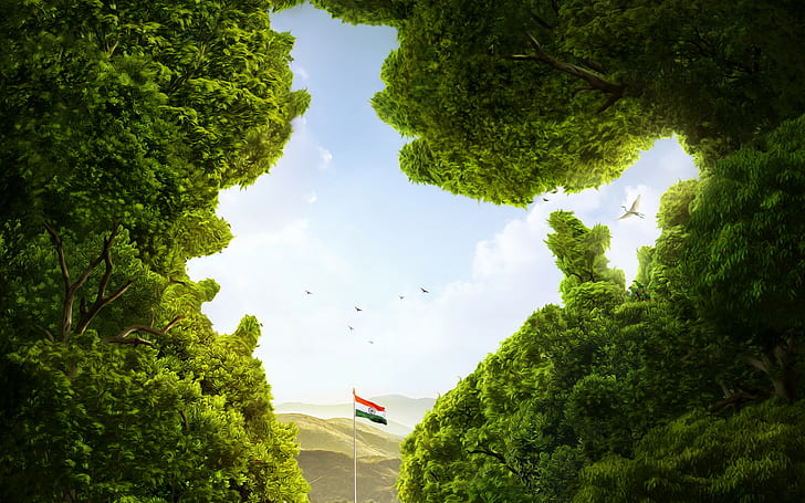 bendera India, 4k, 8k, HD, india, Wallpaper HD