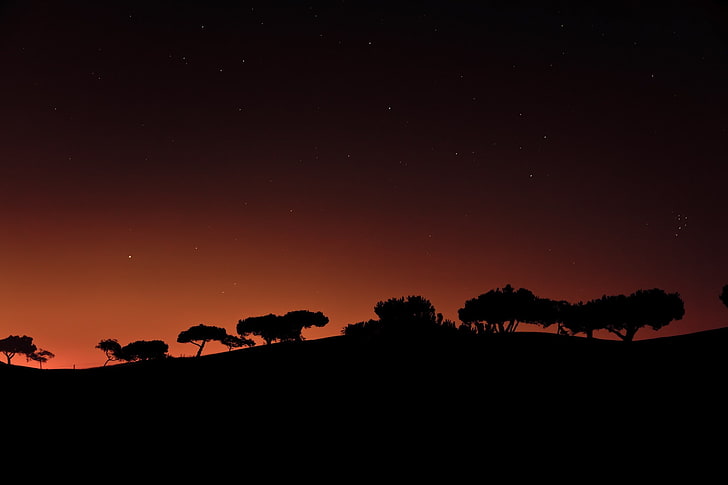 night, silhouette, trees, minimalism, stars, HD wallpaper