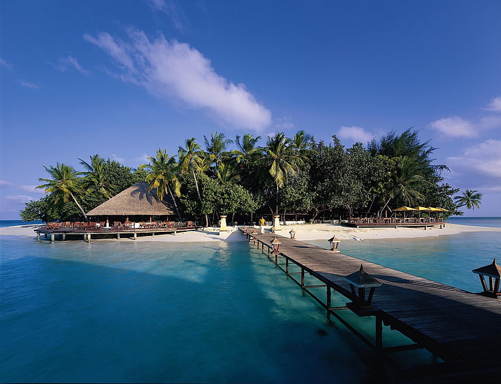 brown wooden dock, nature, landscape, tropical, resort, walkway, beach, palm trees, sea, HD wallpaper
