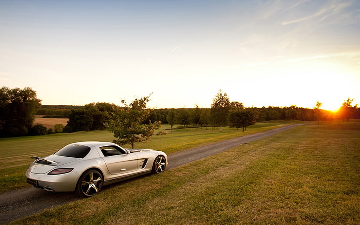 silver coupe, road, the sky, sunset, Mercedes-Benz, silver, Mercedes, supercar, rear view, AMG, SLS, mcchip dkr, MC700, HD wallpaper