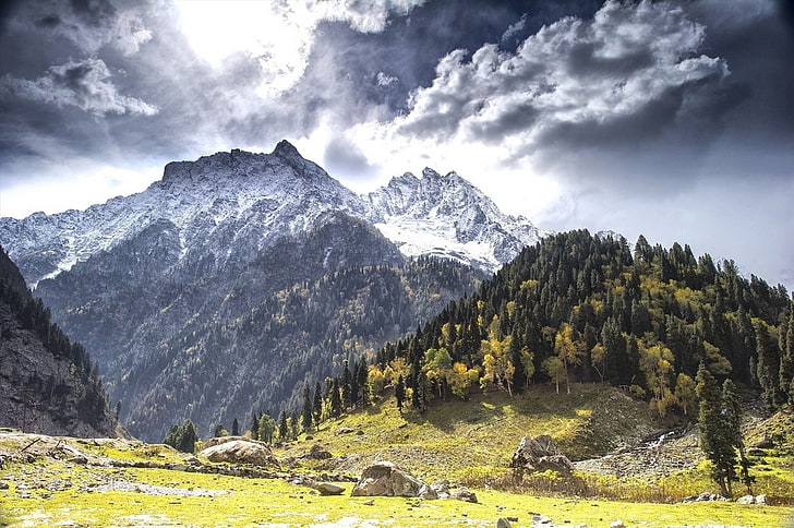 clouds, Fall, forest, grass, Kashmir, landscape, mountain, nature, Snowy Peak, Trees, HD wallpaper