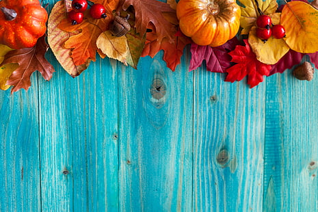 orange pumpkin, autumn, leaves, berries, tree, harvest, pumpkin, acorns, HD wallpaper HD wallpaper