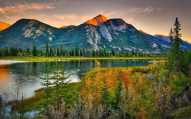Bellezas naturales Canadá paisaje montañas rocosas bosque de pinos río hd fondo de pantalla de alto contraste 1920 × 1200, Fondo de pantalla HD