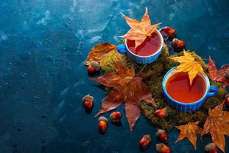 autunno, foglie, tè, muschio, coppa, bibita, tazze, natura morta, ghiande, Sfondo HD HD wallpaper