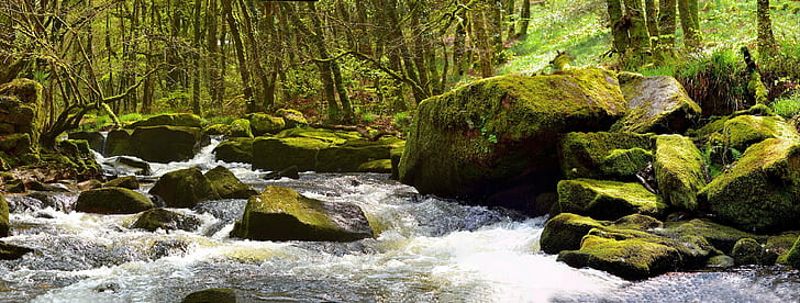 running water scenery under sunny sky, golitha falls, golitha falls, Golitha Falls, Panorama, Nikon D3100, DSC, running water, scenery, Tamron, F4, Di, LD, MACRO, lens, I AM, Stitched, Image, Microsoft ICE, Falls  River, River Fowey, Cornwall, southwest, West Country, GB, UK, Granite, Bodmin, nature, forest, waterfall, stream, river, tree, water, outdoors, landscape, scenics, moss, rock - Object, green Color, HD wallpaper