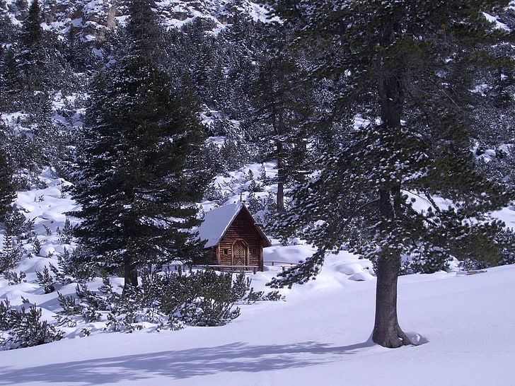 茶色の木製キャビン、イズバ、木、山、針葉樹、雪、 HDデスクトップの壁紙