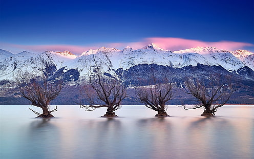 بحيرة واكاتيبو ، كوينزتاون ، نيوزيلندا ، جبال الألب الجنوبية ، الأشجار ، البحيرة ، واكاتيبو ، كوينزتاون ، نيوزيلندا ، الجنوب ، جبال الألب ، الأشجار، خلفية HD HD wallpaper
