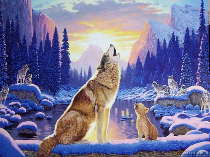 ロックオオカミ動物を歌うことを学ぶ他のHDアート、オオカミ、岩、木、オオカミの子犬、 HDデスクトップの壁紙
