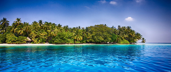 Maldives, tropical, beach, palm trees, sea, sand, water, summer, exotic, nature, landscape, HD wallpaper