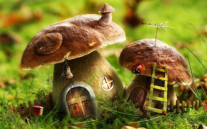 two brown mushrooms, green, house, mushrooms, ladder, 156, HD wallpaper