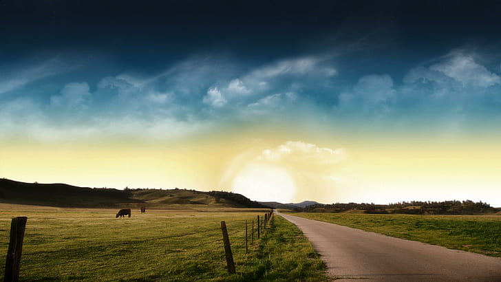 Country Road Into The Sun, vaches, route, champs, coucher de soleil, nuages, nature et paysages, Fond d'écran HD