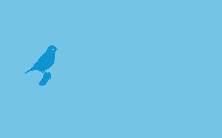 Minimalismus, Vögel, blauer Hintergrund, Cyan, Cyan Hintergrund, HD-Hintergrundbild