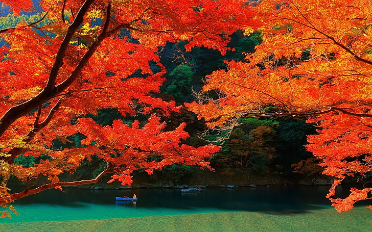barco no corpo de água, natureza, paisagem, lago, árvores, outono, colorido, Kyoto, folhas, água, Japão, HD papel de parede