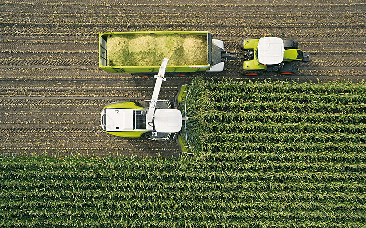 pertanian, petani, Claas, traktor, Wallpaper HD