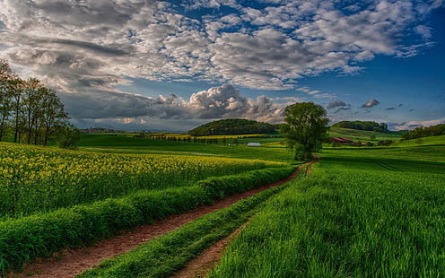 green grass lawn, nature, sky, clouds, field, landscape, pathway, HD wallpaper HD wallpaper