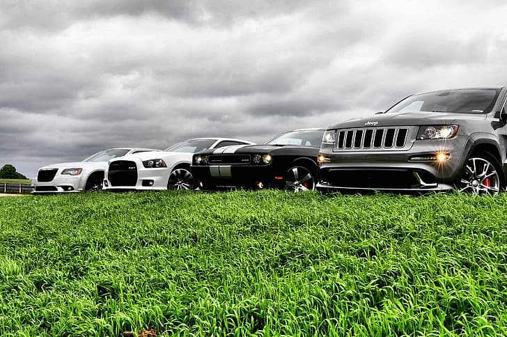 Auto, der Himmel, Gras, Krastaa, Jeep Grand Cherokee, Dodge Challenger Str8, Chrysler 300 SRT8, Dodge Avenger SRT 8, HD-Hintergrundbild
