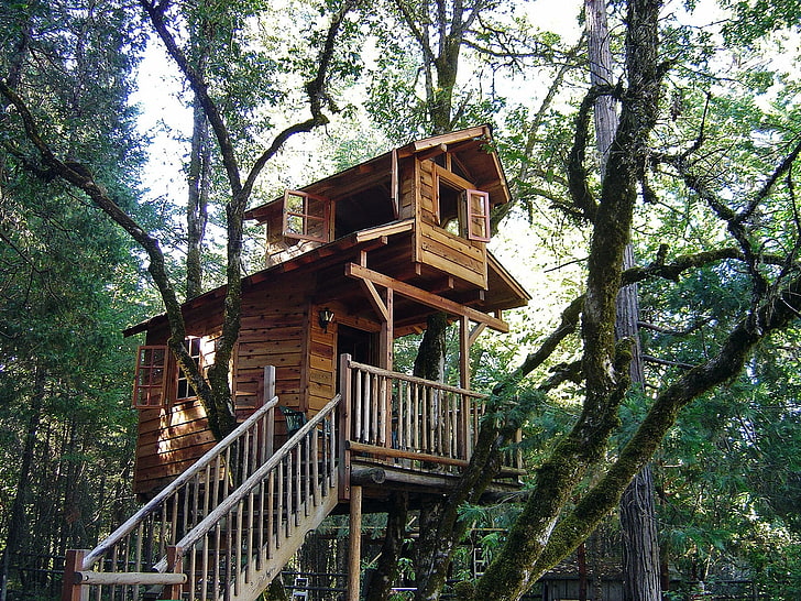 forest porch TreeHouse Architecture Other HD Art , Trees, forest, stairs, porch, treehouse, HD wallpaper