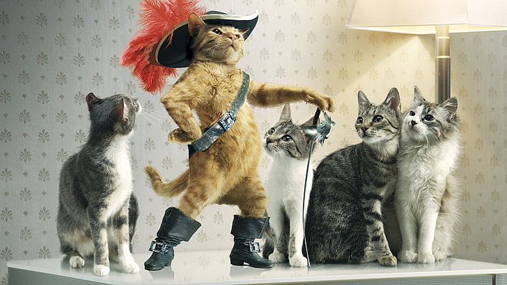 cat, creativity, Puss In Boots, HD wallpaper