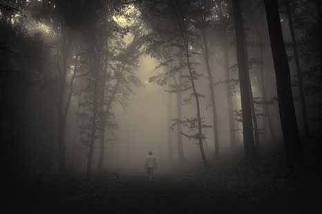 человек, идущий по лесу, плакат, дорога, грусть, лес, деревья, пейзаж, природа, туманный, жуткий, одинокий старик, одинокий старик, HD обои HD wallpaper