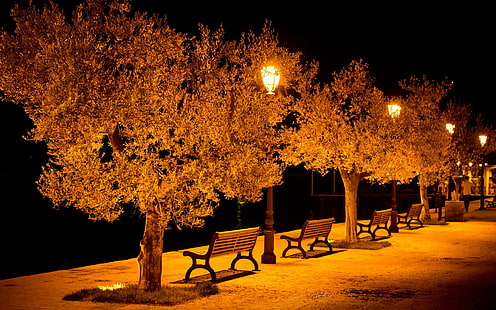 City Aeyaey Street Benches Light Lights Bench Night Mood Photos, bench between trees and lighted lamp at night, trees, aeyaey, bench, benches, city, light, lights, mood, night, photos, street, HD wallpaper HD wallpaper