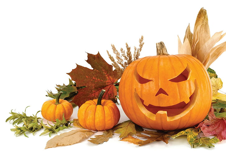 Autumn~Halloween, pumpkin, jack-o-lantern, gourds, fall, halloween, pumpkins, leaves, autumn, HD wallpaper