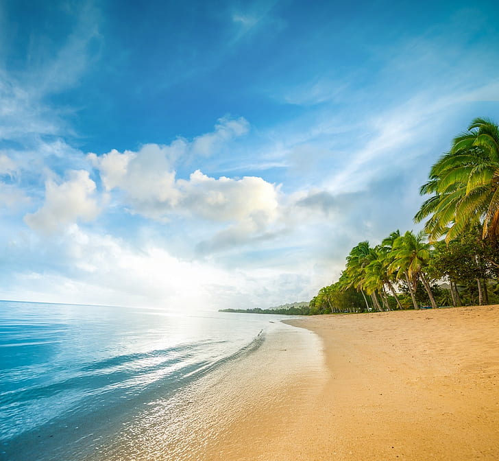 plaj, kum, deniz, palmiye ağaçları, bulutlar, su, doğa, manzara, mavi, yeşil, beyaz, tatil, HD masaüstü duvar kağıdı