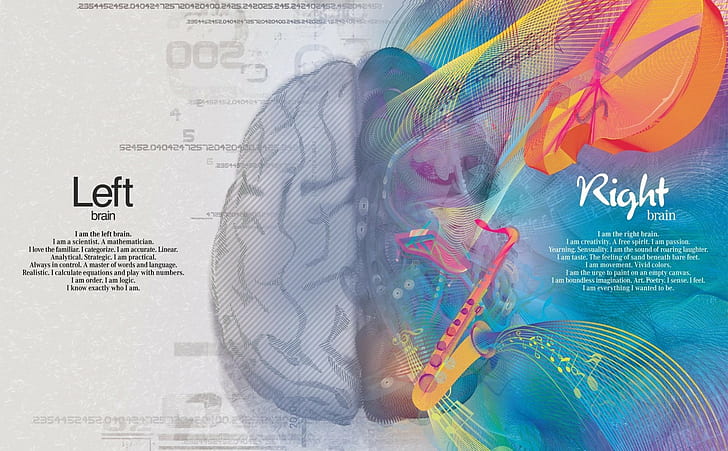 creative, paint, science, brain, creativity, art, hemisphere, math, logic, right, left, gyrus, gray matter, thinking, mind, HD wallpaper