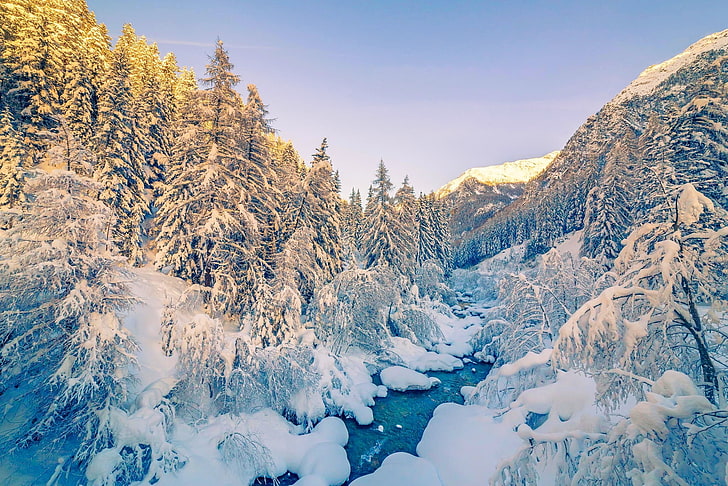 árvore coberta de neve durante o dia, Alpes, inverno, montanhas, floresta, neve, rio, branco, paisagem, natureza, HD papel de parede