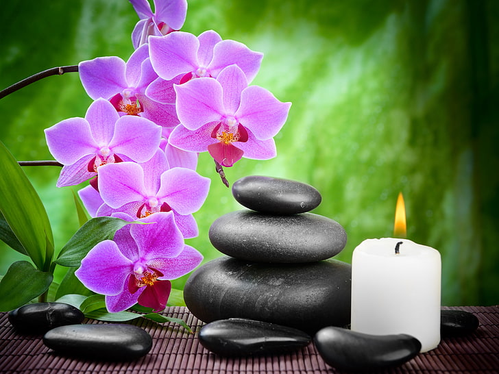 фиолетовый цветок орхидеи и белая свеча, цветок, камни, свечи, бамбук, черный, орхидея, цветы, спа, массаж, HD обои