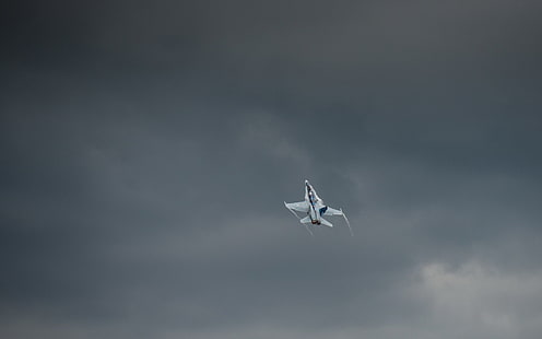 висулка за птици в сребърен цвят, McDonnell Douglas F / A-18 Hornet, реактивен изтребител, военен самолет, самолет, самолет, HD тапет HD wallpaper