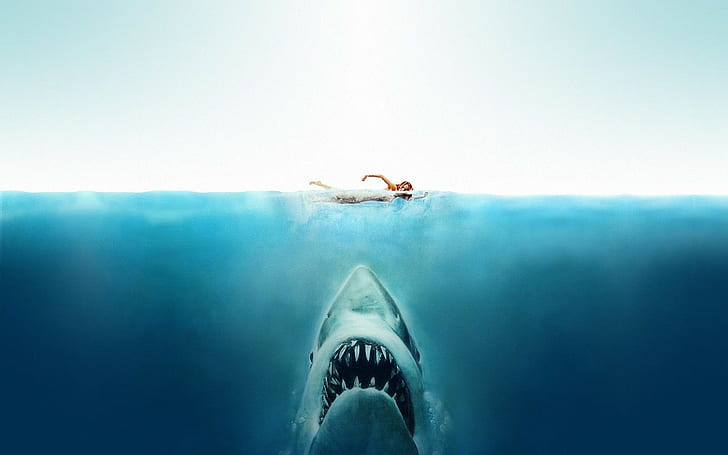 Jaws, movies, artwork, HD wallpaper