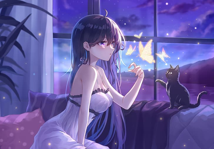 anime, anime girls, original characters, black cats, butterfly, night, HD wallpaper