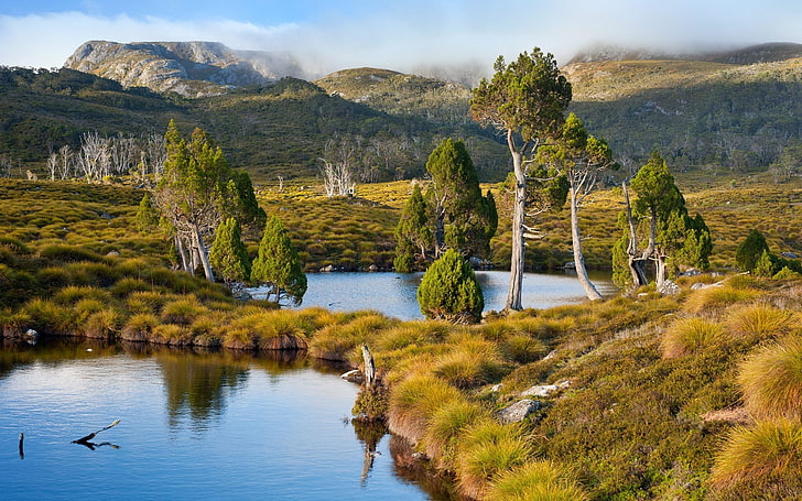 Tasmania, Australia, lake, mountains, grass, trees, water, shrubs, nature, landscape, HD wallpaper