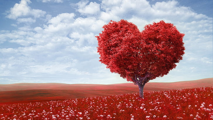 day, emotion, fields, flowers, heart, landscapes, leaves, love, mood, romance, trees, valentine 039 s, HD wallpaper