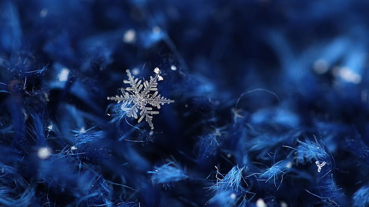 floco de neve, azul, azulado, cristal de gelo, macro, cristal, fechar-se, neve, natal, inverno, textura, gelo, HD papel de parede