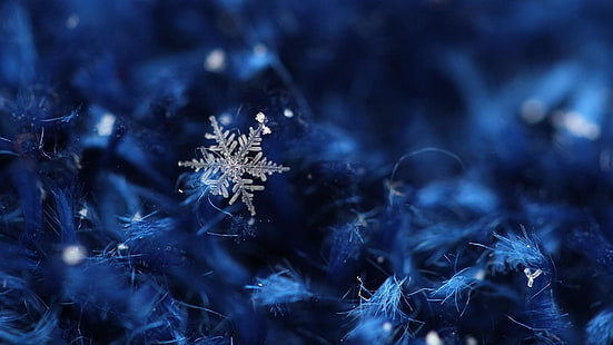 snowflake, blue, bluish, ice crystal, macro, crystal, close up, snow, christmas, winter, texture, ice, HD wallpaper HD wallpaper