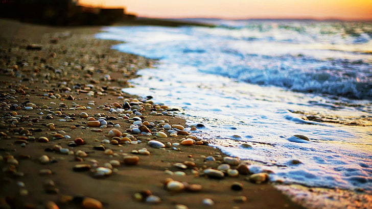 strand, småsten, natur, skärpedjup, sand, hav, HD tapet