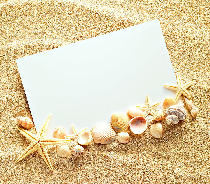 berbagai macam cangkang, pasir, cangkang, tekstur, kertas, kerang, bintang laut, Wallpaper HD