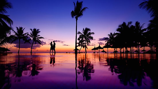 love, summer, palm tree, palms, reflection, silhouette, evening, couple, romantic, sunset, dusk, HD wallpaper HD wallpaper