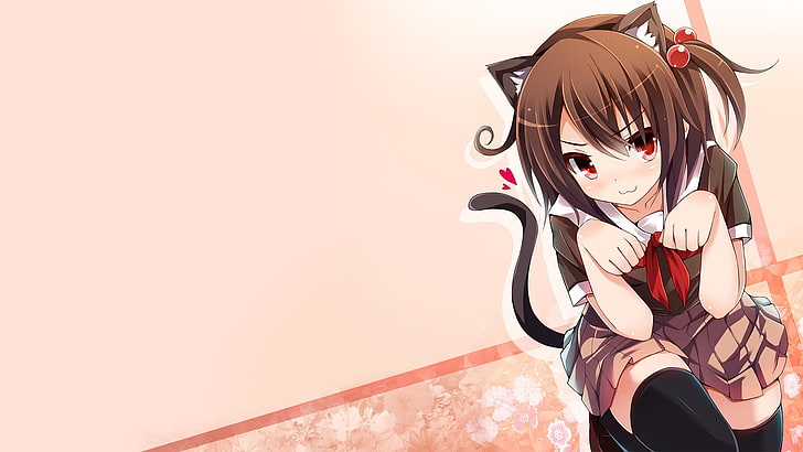 anime, anime girls, cat girl, thigh-highs, school uniform, nekomimi, original characters, HD wallpaper