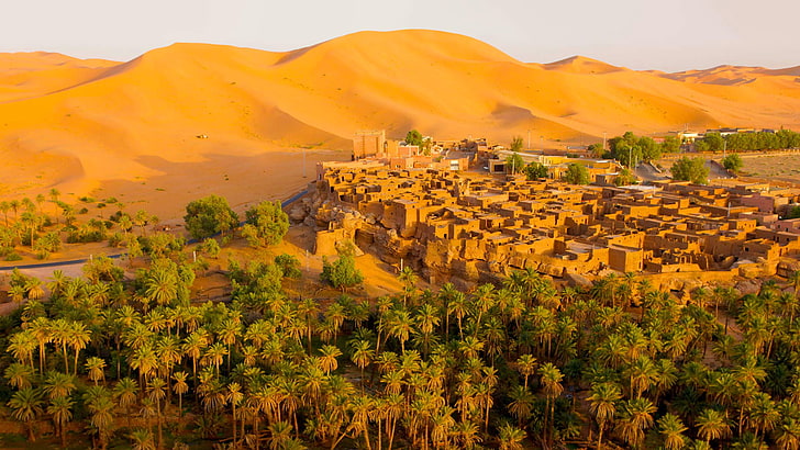 песок, дюны, город, пальмы, пустыня, дома, алжир, оазис, тагит, HD обои