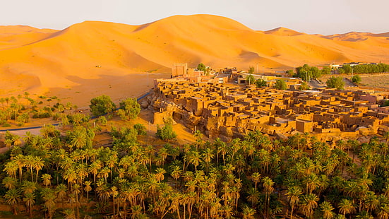 пясък, дюните, градът, палмите, пустинята, домът, Алжир, Оазис, Тагит, HD тапет HD wallpaper