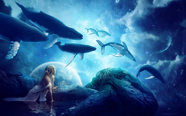 whales, dream, digital universe, HD wallpaper