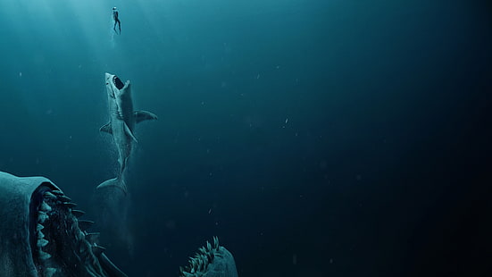  man, shark, jaws, The meg, Megalodon, HD wallpaper HD wallpaper