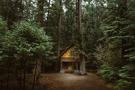 лесной домик, HD обои HD wallpaper