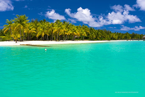 grüne Kokospalmen, Sommer, Malediven, tropisch, Strand, Palmen, HD-Hintergrundbild HD wallpaper
