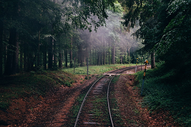 รางรถไฟสีเทา, ป่า, ธรรมชาติ, ทางรถไฟ, ต้นไม้, วอลล์เปเปอร์ HD