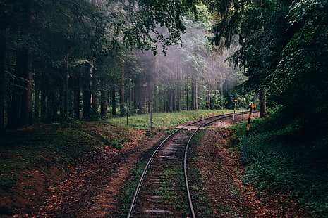 gray train tracks, forest, nature, railway, trees, HD wallpaper HD wallpaper