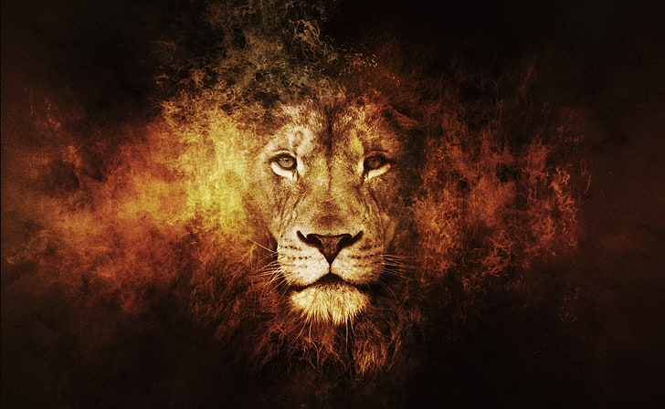Lion HD Wallpaper, коричневые обои льва, художественные, фэнтези, HD обои